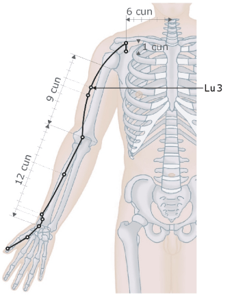 Lungenmeridian - Lu3