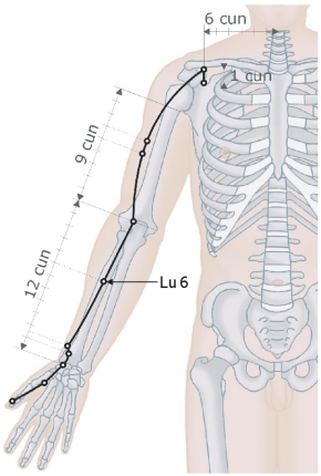 Lungenmeridian - Lu6